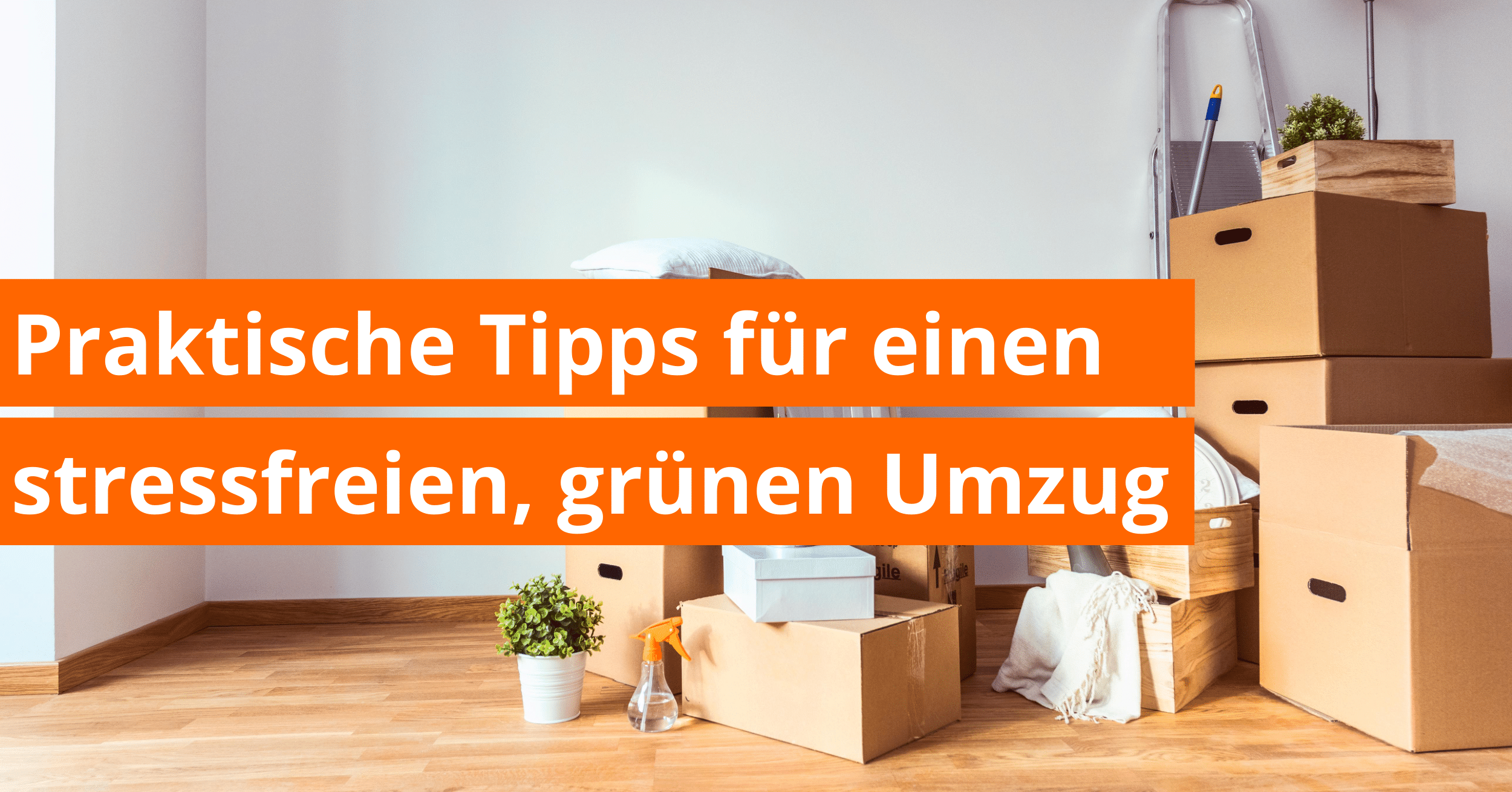 Nachhaltig Umziehen 7 Praktische Tipps Berlin Recycling Ihr Entsorger